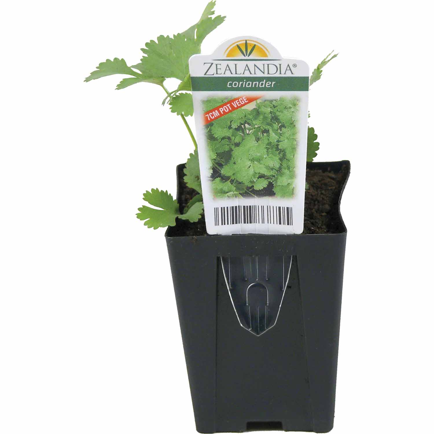mitre 10 hydroponics