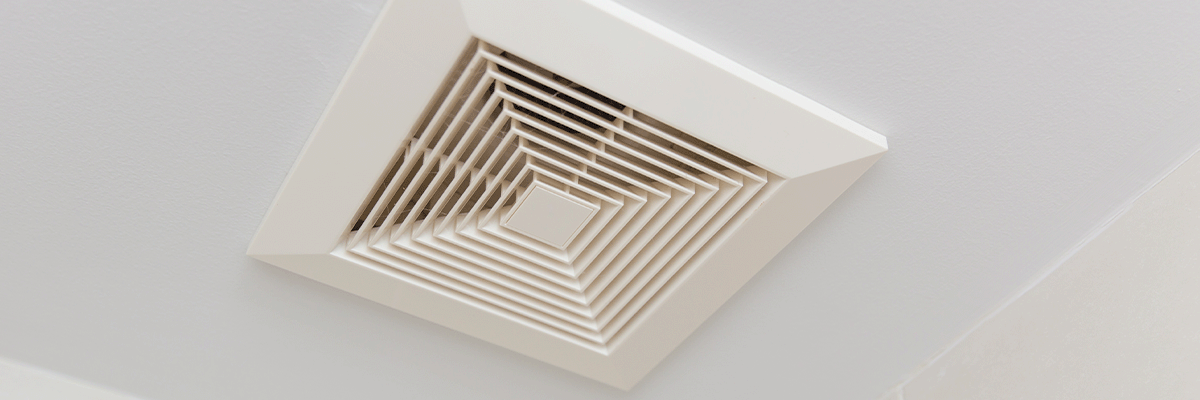 Hot topic: From insulation to ventilation standards