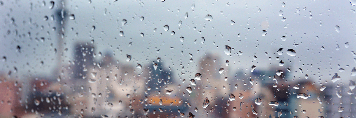What are the four D&rsquo;s of weather-tightness?